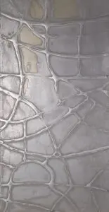 Eine kreative Wandgestaltung in Silberbronze mit metallischem Finish zeigt ein einzigartiges, netzartiges Muster.