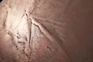 Die detailreiche Kupfer-Bronze-Oberfläche zeigt kunstvolle Spachteltechnik für kreative Wandgestaltung im Wohnzimmer.