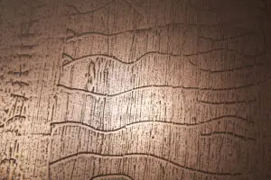 Die Nahaufnahme zeigt eine kunstvolle Wandgestaltung in Zinnbronze von Einhornwerke mit einzigartiger Struktur.