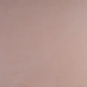 Eine schlichte, elegante Wand mit Marmorputz in warmem Beige verleiht dem Wohnzimmer eine stilvolle Wandgestaltung.
