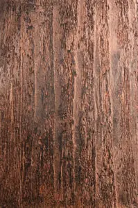 Das Bild zeigt eine edle Wandgestaltung mit STUCCORINO von EINHORN WERKE, einem dekorativen Kalkputz. Rezept: STUCCORINO 0,1 + 0215 + Effect Bronze