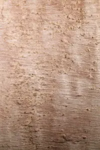 Das Bild zeigt eine edle Wandgestaltung mit STUCCORINO von EINHORN WERKE, einem dekorativen Kalkputz. Rezept: STUCCORINO 0,1 Farbton 2102 + 1106 + Goldglimmer + Effect Weißgold