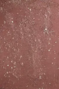 Das Bild zeigt eine edle Wandgestaltung mit STUCCORINO von EINHORN WERKE, einem dekorativen Kalkputz. Rezept: Sparkle STUCCORINO ® 0,1 Farbton 1407 + Goldglimmer mittel