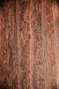 Oberfläche in Bronze mit Holzstruktur, ideal für fugenlose Badezimmer und stilvolle Wandgestaltung mit STUCCORINO®.