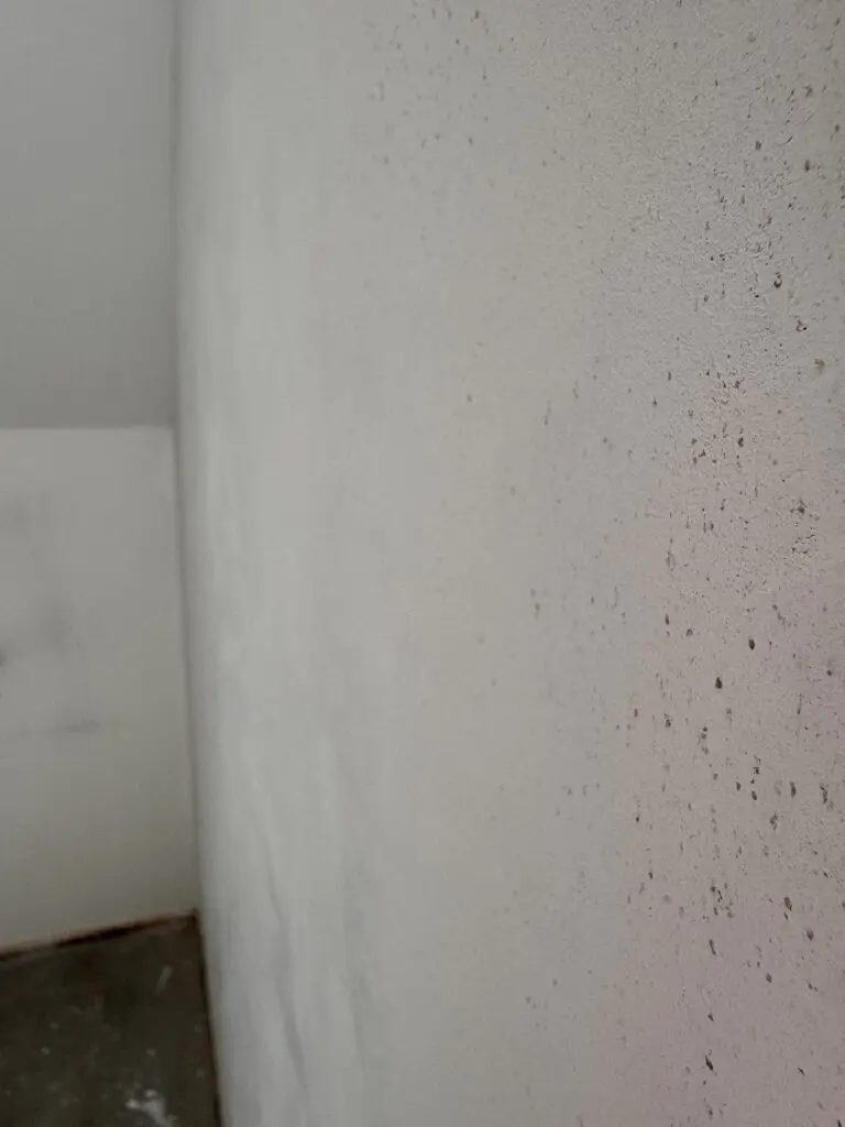 Eine weiße Wand mit feiner Streichputz-Textur zeigt kreative Wandgestaltung im Wohnzimmer von Einhornwerke.