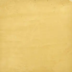 STUCCORINO 2507