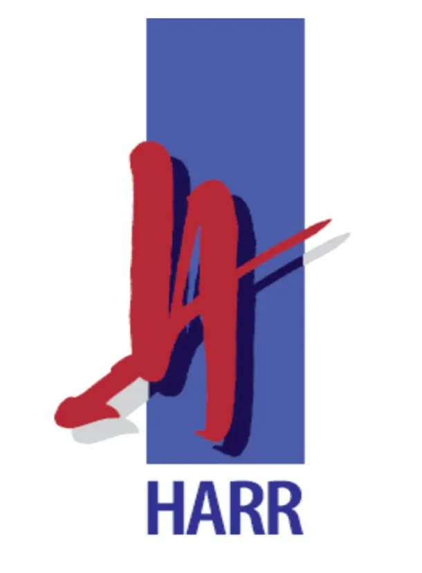 Logo 2013 alleine