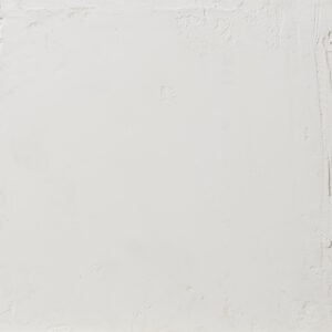 Eine minimalistische weiße Wand im Wohnzimmer zeigt die elegante STUCCORINO Kalkputz Wandgestaltung von Einhorn Werke.