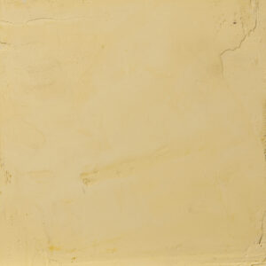 Eine warme beige Wand zeigt die elegante Textur von STUCCORINO Kalkputz für kreative Wandgestaltung im Wohnzimmer. STUCCORINO 0,1 - Farbton: 1703