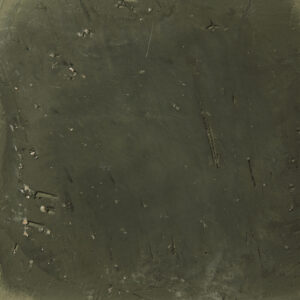 Eine stilvolle Wandgestaltung mit STUCCORINO Kalkputz verleiht der Wohnzimmerwand Eleganz. Rezept: STUCCORINO 0,1 + Goldglimmer mittel - Farbton 2215