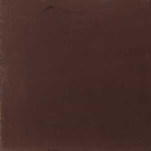 Eine stilvolle Wand zeigt die Oberflächentextur von Marmor Kalkputz, ideal für kreative Wandgestaltung im Wohnzimmer. Rezept: STUCCORINO 0,1 Farbton 6010