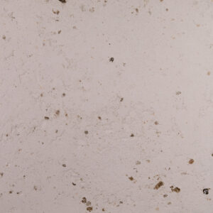 Die Wand zeigt eine elegante Textur aus MARMOREA-719 Kalkputz, ideal für stilvolle Wandgestaltung im Wohnzimmer.