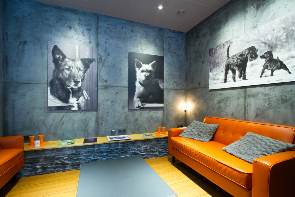 Ein stilvolles Wohnzimmer mit STUCCORINO-Wänden in Betonoptik und eleganten Tierfotos sorgt für eine kreative Wandgestaltung in einer Tierarztpraxis.